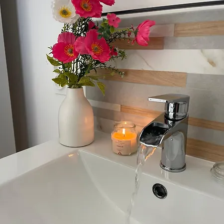 Les Hirondelles A * 勒克罗图瓦